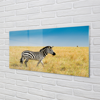 Quadro acrilico Campo zebra