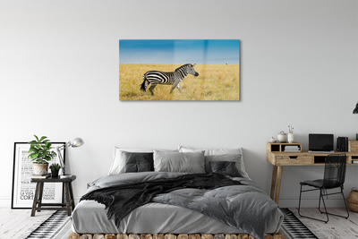 Quadro acrilico Campo zebra