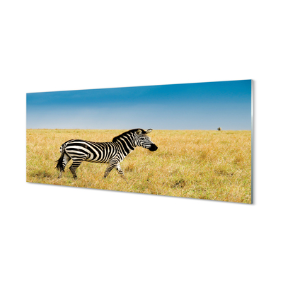 Quadro acrilico Campo zebra