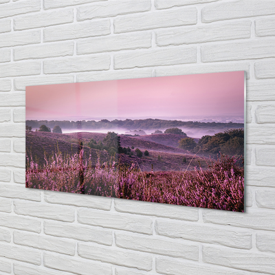 Quadro vetro acrilico Campo heather