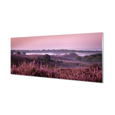 Quadro vetro acrilico Campo heather