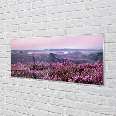 Quadro acrilico Campo heather