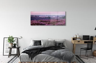 Quadro acrilico Campo heather