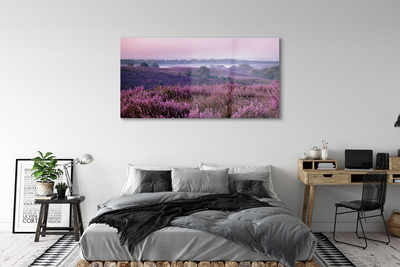 Quadro acrilico Campo heather