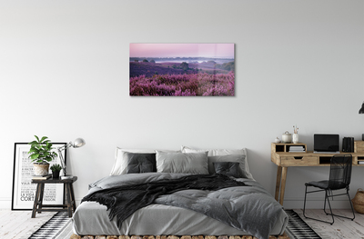 Quadro acrilico Campo heather