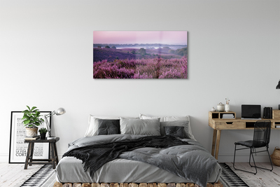 Quadro acrilico Campo heather