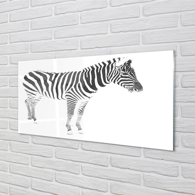 Quadro su vetro acrilico Zebra dipinta