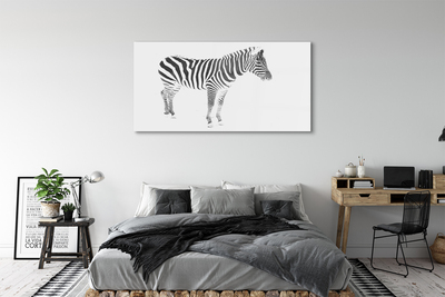 Quadro su vetro acrilico Zebra dipinta