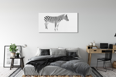 Quadro su vetro acrilico Zebra dipinta