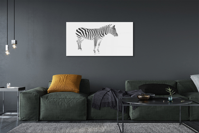 Quadro su vetro acrilico Zebra dipinta