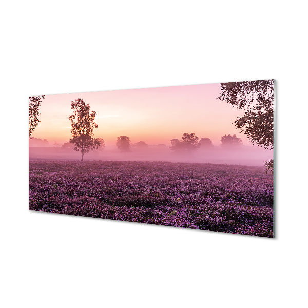 Quadro in vetro acrilico Campo heather