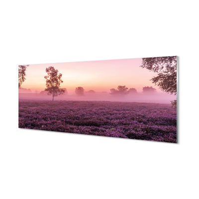 Quadro in vetro acrilico Campo heather