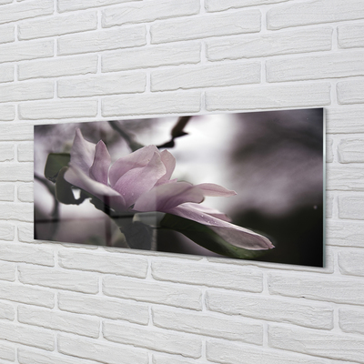 Quadro su vetro acrilico Magnolia