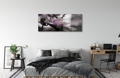 Quadro su vetro acrilico Magnolia