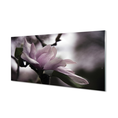 Quadro su vetro acrilico Magnolia