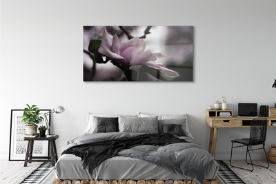 Quadro su vetro acrilico Magnolia