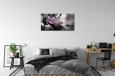 Quadro su vetro acrilico Magnolia