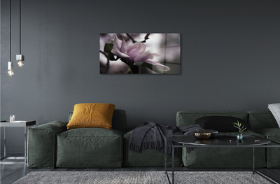 Quadro su vetro acrilico Magnolia