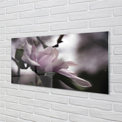 Quadro su vetro acrilico Magnolia