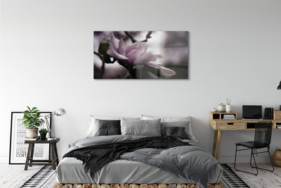 Quadro su vetro acrilico Magnolia