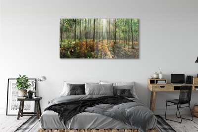 Quadro acrilico Birch Tree Forest