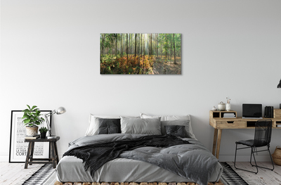 Quadro acrilico Birch Tree Forest