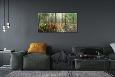 Quadro acrilico Birch Tree Forest