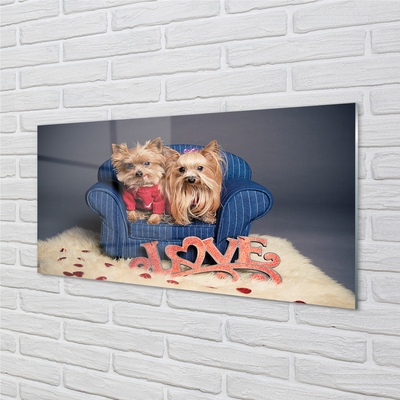 Quadro acrilico Yorkies