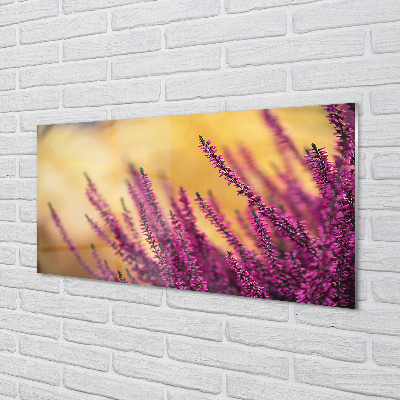 Quadro in vetro acrilico Fiori