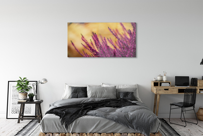 Quadro in vetro acrilico Fiori