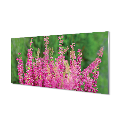 Quadro vetro acrilico Fiori di erica