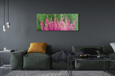 Quadro vetro acrilico Fiori di erica