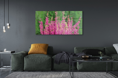 Quadro vetro acrilico Fiori di erica