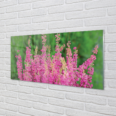 Quadro vetro acrilico Fiori di erica