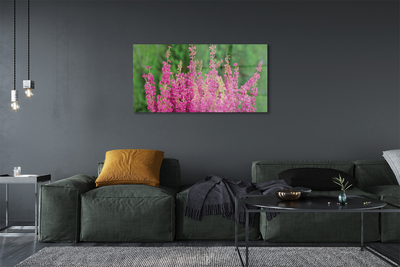 Quadro vetro acrilico Fiori di erica