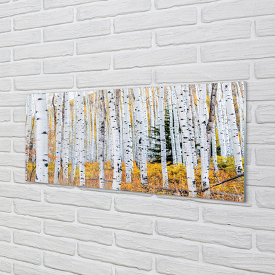 Quadro acrilico Birch autunnale