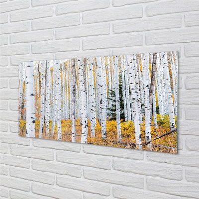 Quadro acrilico Birch autunnale