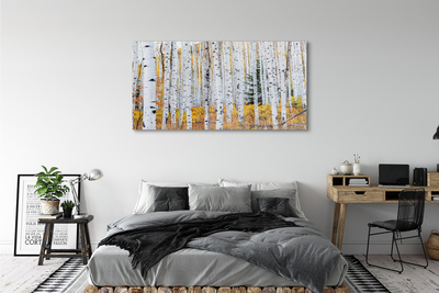 Quadro acrilico Birch autunnale