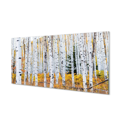 Quadro acrilico Birch autunnale