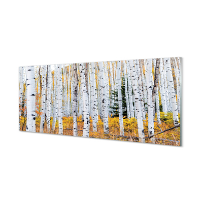 Quadro acrilico Birch autunnale