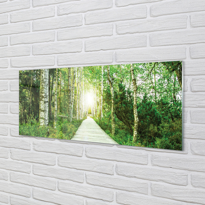 Quadro acrilico Birch Forest Road Birch