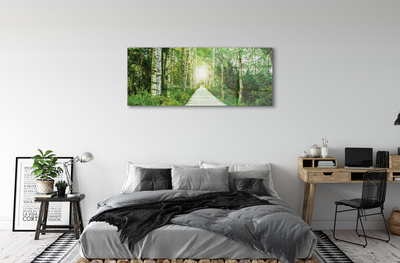 Quadro acrilico Birch Forest Road Birch