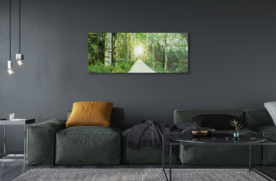 Quadro acrilico Birch Forest Road Birch