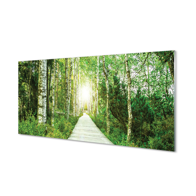 Quadro acrilico Birch Forest Road Birch