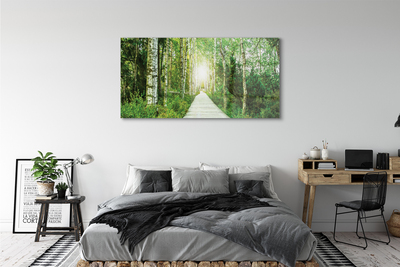 Quadro acrilico Birch Forest Road Birch