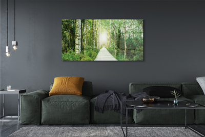 Quadro acrilico Birch Forest Road Birch