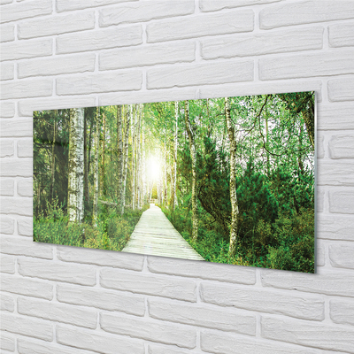 Quadro acrilico Birch Forest Road Birch