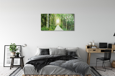 Quadro acrilico Birch Forest Road Birch