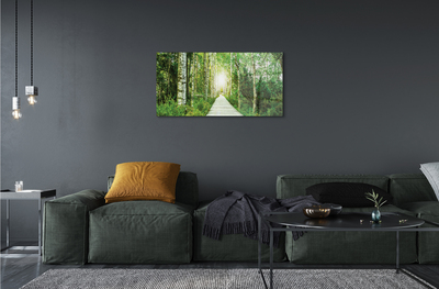 Quadro acrilico Birch Forest Road Birch