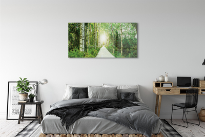 Quadro acrilico Birch Forest Road Birch